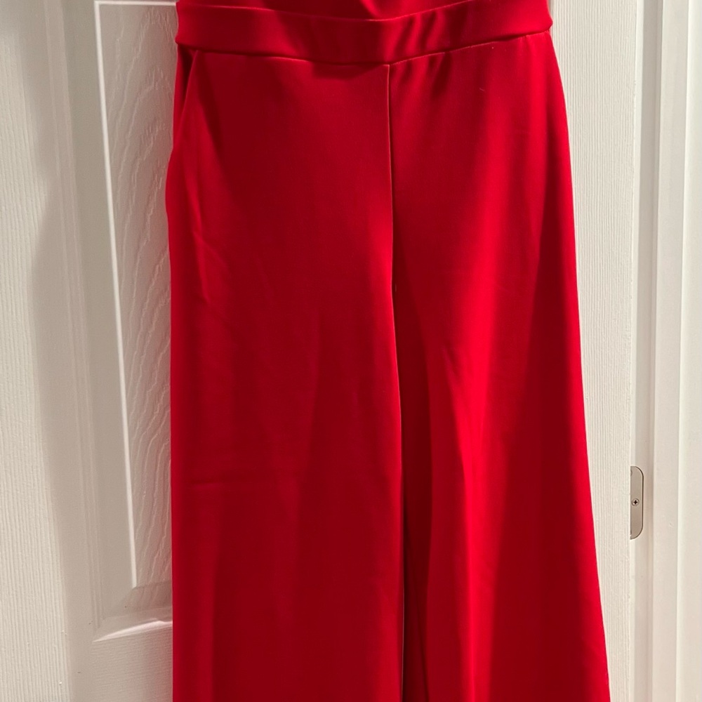 Express Red Wide Leg Pants